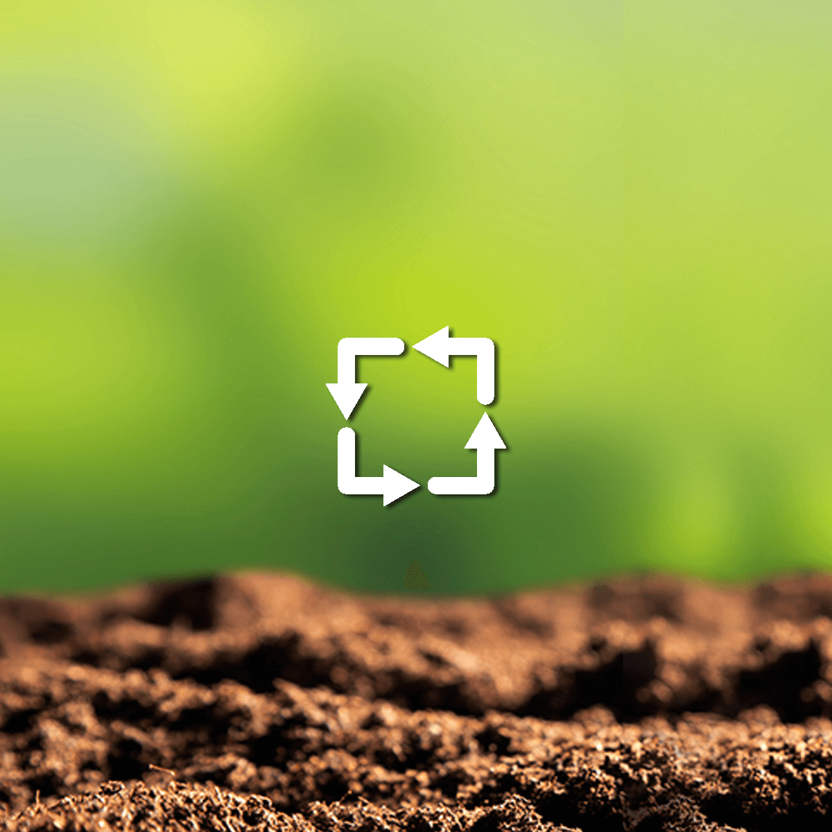 sustainability webinar graphic