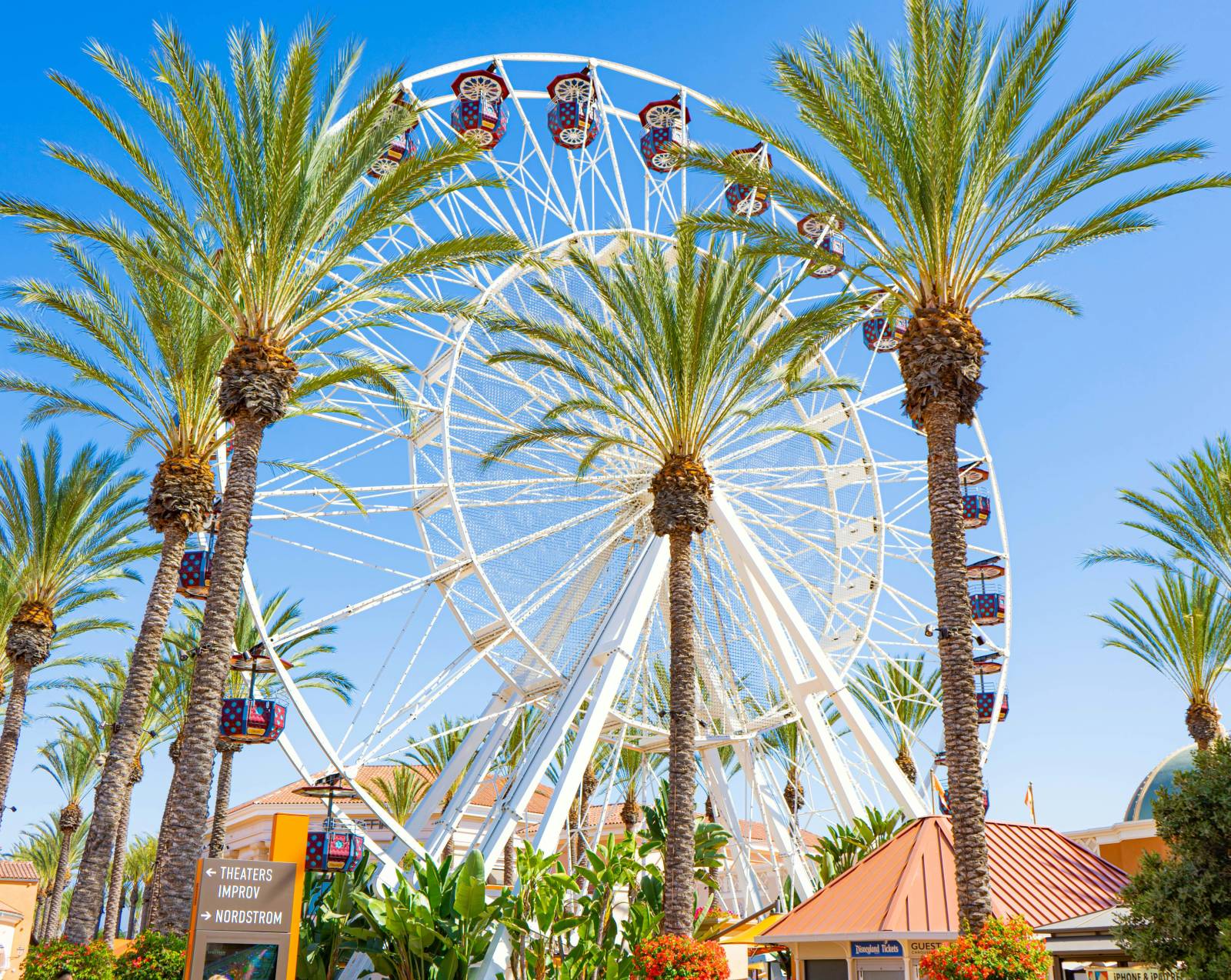 Ferris wheel with palm trees in the foreground.